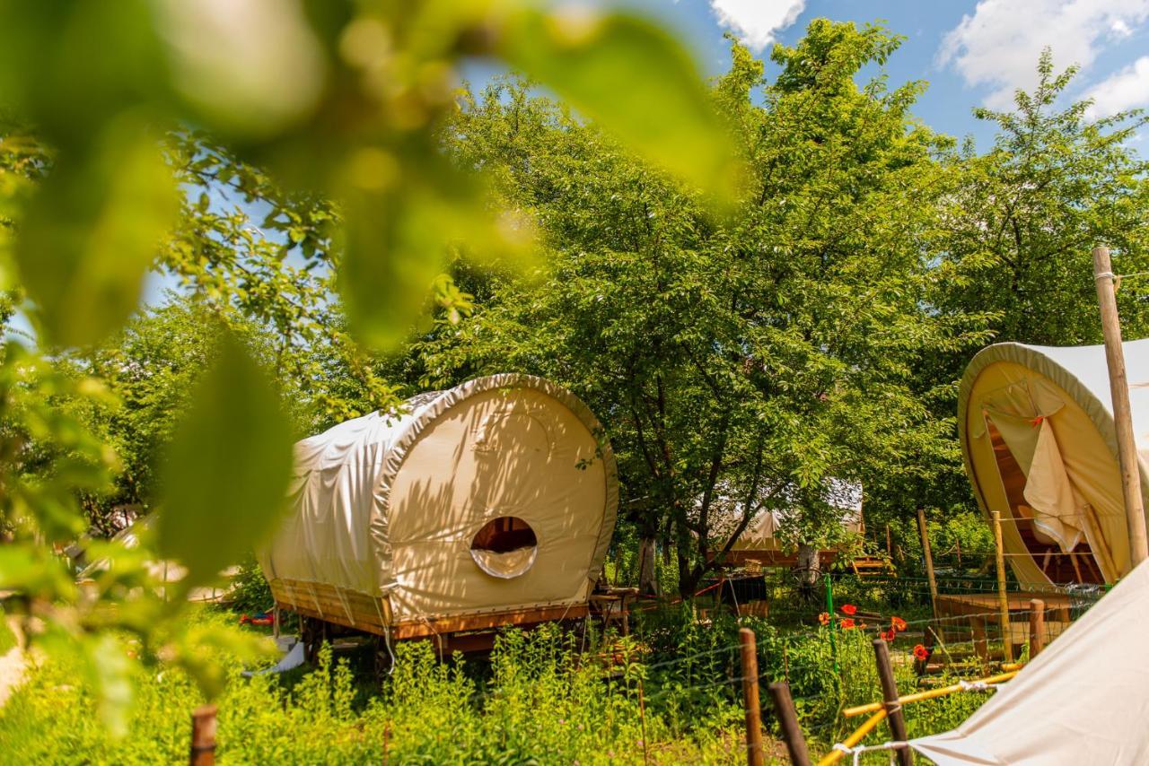 Готель Dragonfly Gardens - The Wagons Брашов Екстер'єр фото