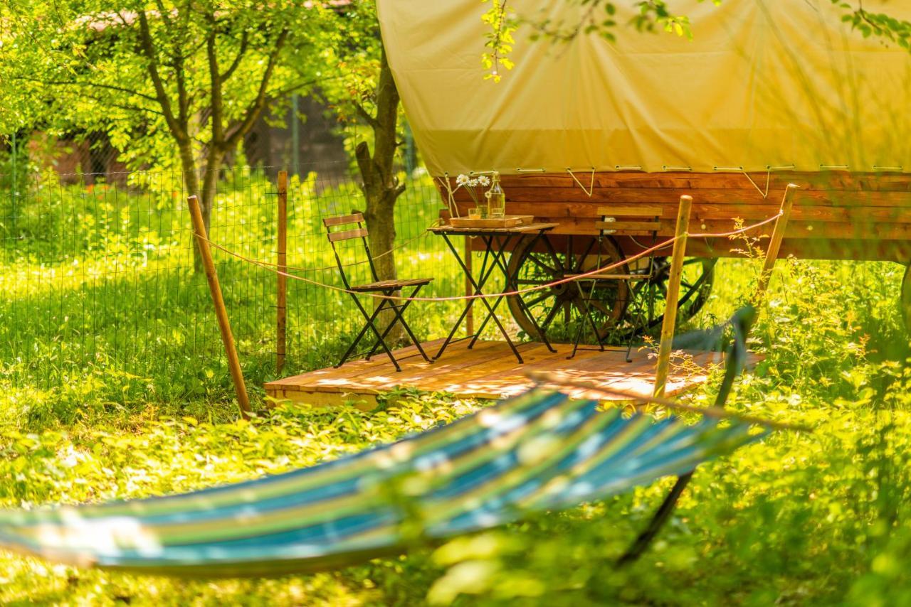 Готель Dragonfly Gardens - The Wagons Брашов Екстер'єр фото